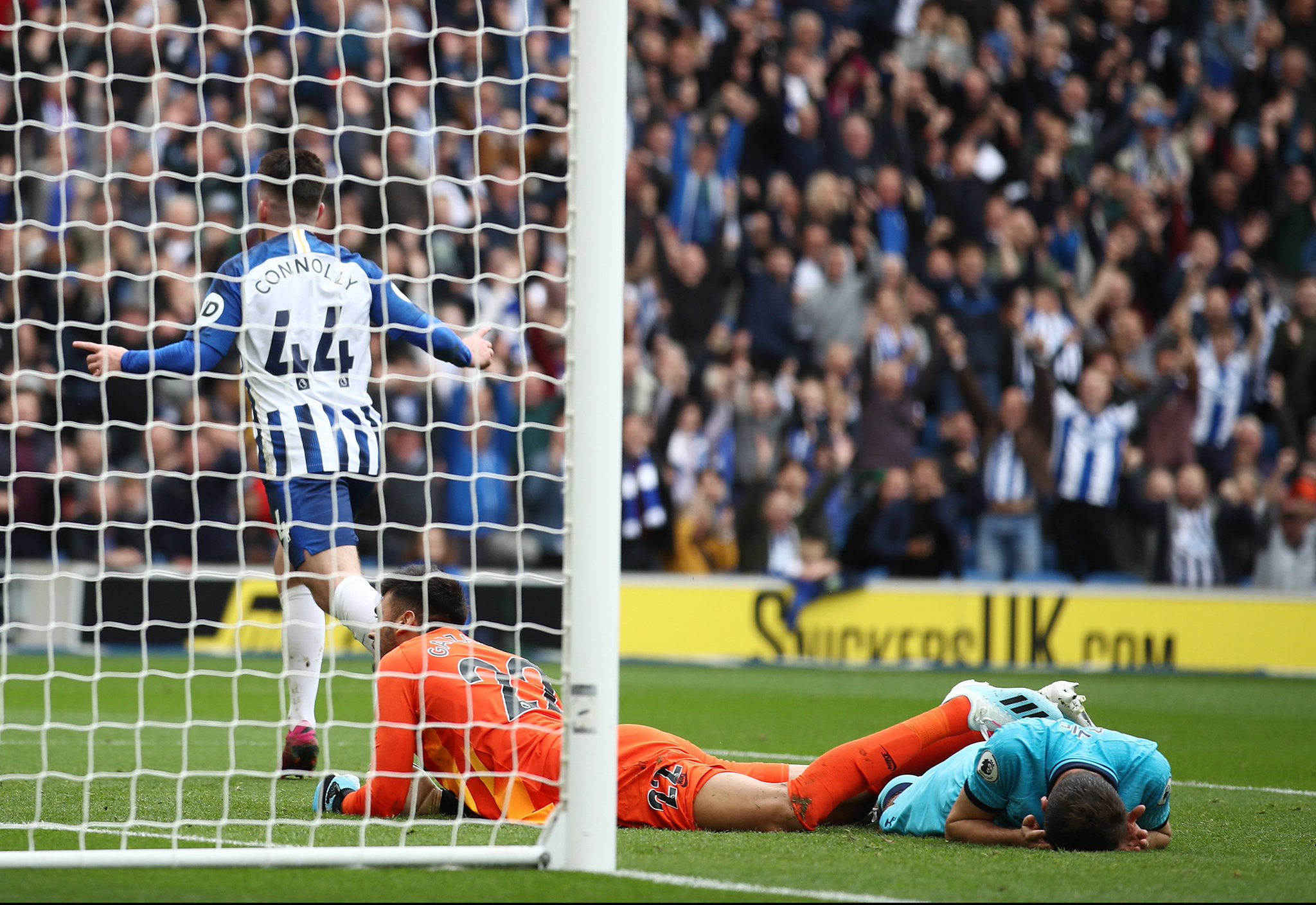 猛龙一度祭 猛龙一度祭